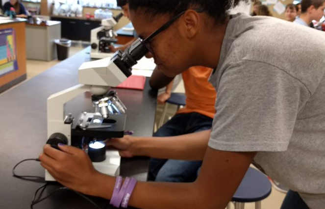 A female student with a ponytail bends over to look in a microscope